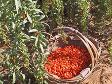 9��3�ա�����ĳ���Ʒ�ƶ�λ��ԃ�(xi��ng)Ŀ�R��(b��o)���A�M��Ļ��