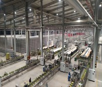 �Ƽ���˾н���O(sh��)Ӌ�����l(f��)��(chu��ng)���������I(l��ng)�Ƽ�ǰ�ء��Ƽ��ИI(y��)�����YԴ��ԃ-�Ƽ��ИI(y��)н�꿃Ч-�ɶ��Ƽ��ИI(y��)������ԃ��