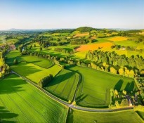 �r(n��ng)�I(y��)�ИI(y��)н���O(sh��)Ӌ������н����Ұ���ի@�˲ŴT�����r(n��ng)�I(y��)�����YԴ��ԃ-�r(n��ng)�I(y��)н�꿃Ч-�ɶ��r(n��ng)�I(y��)�ИI(y��)������ԃ��