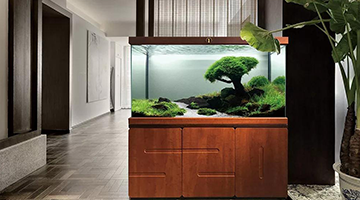 �����ˮ�塿�����ꅢ�\�(w��n)��-�ɶ������(w��n)��ԃ(x��n)��˾